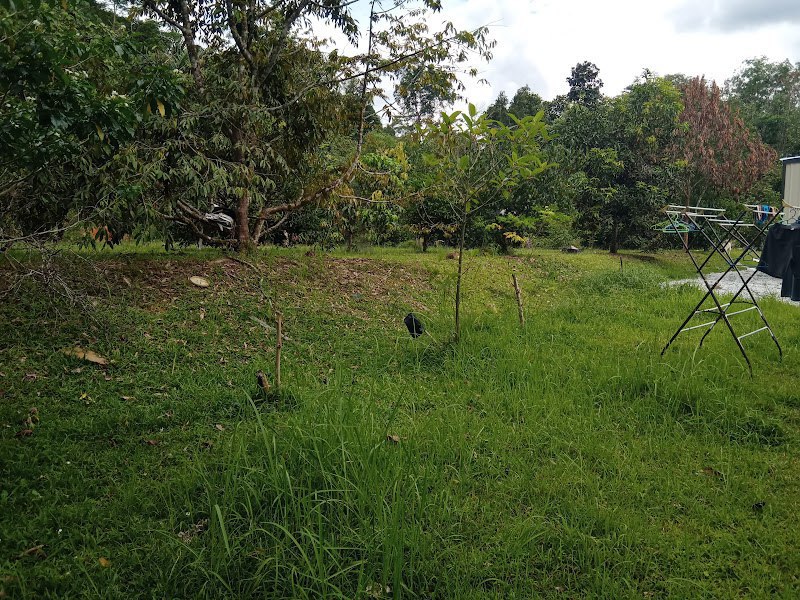 IMG 20250702 193308 881