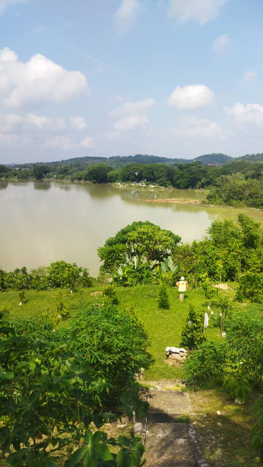 IMG 20250702 193309 300