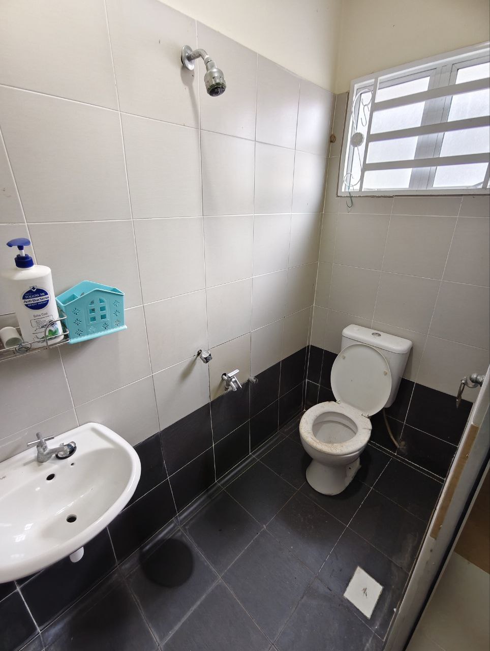 Photo 2025 11 03 09 41 53