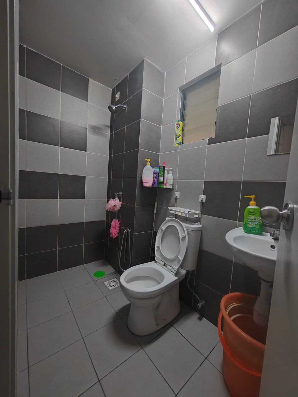 Photo 2025 11 03 13 46 40