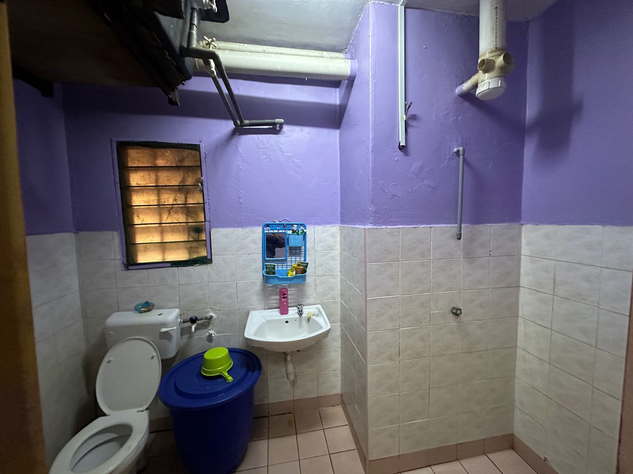 Photo 2025 11 13 09 05 54