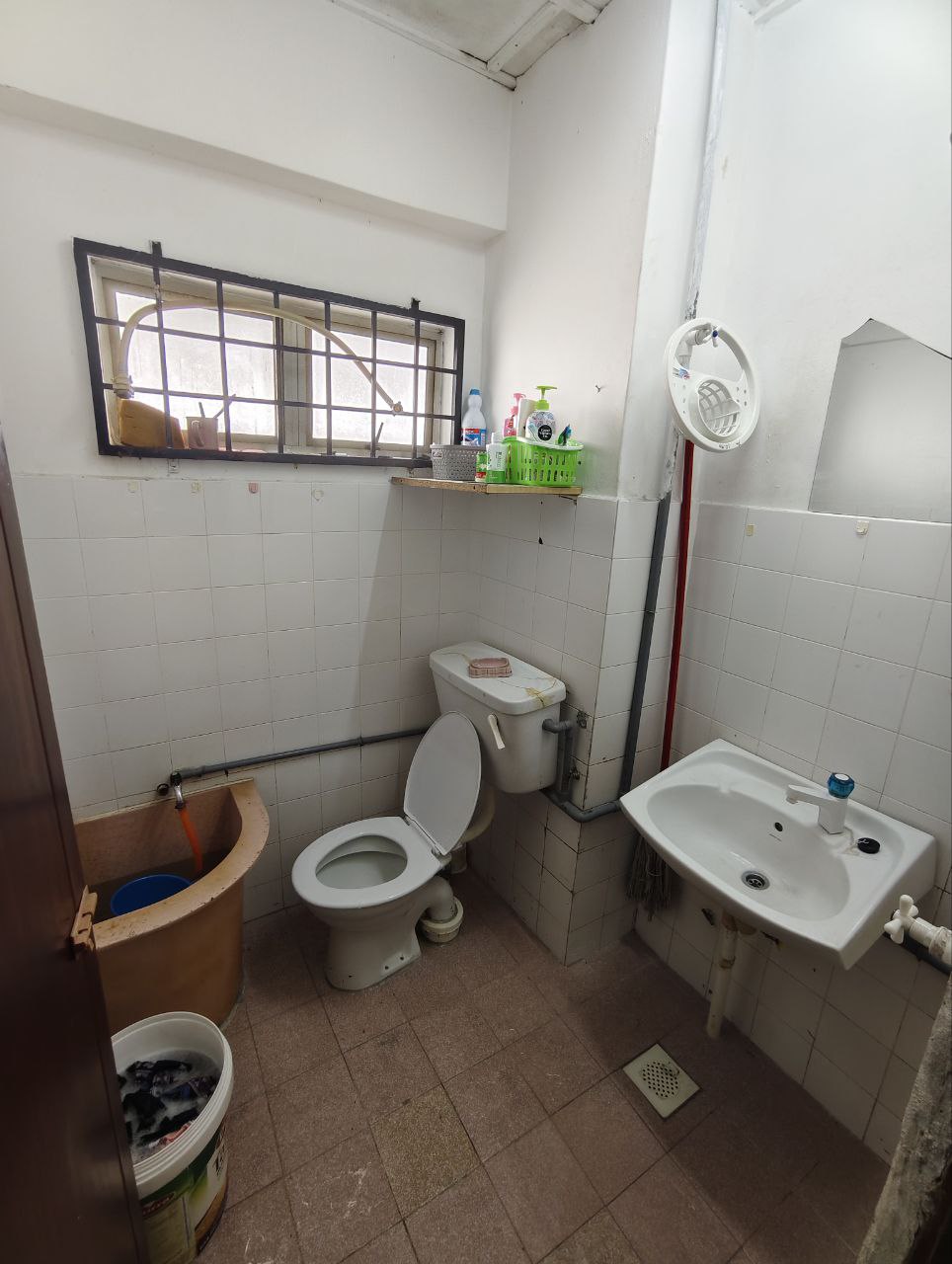 Photo 2025 11 13 09 36 30