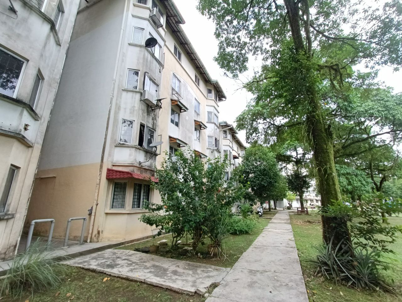 Photo 2025 11 14 10 03 06