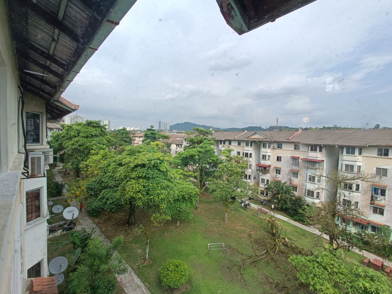 Photo 2025 11 14 11 01 30