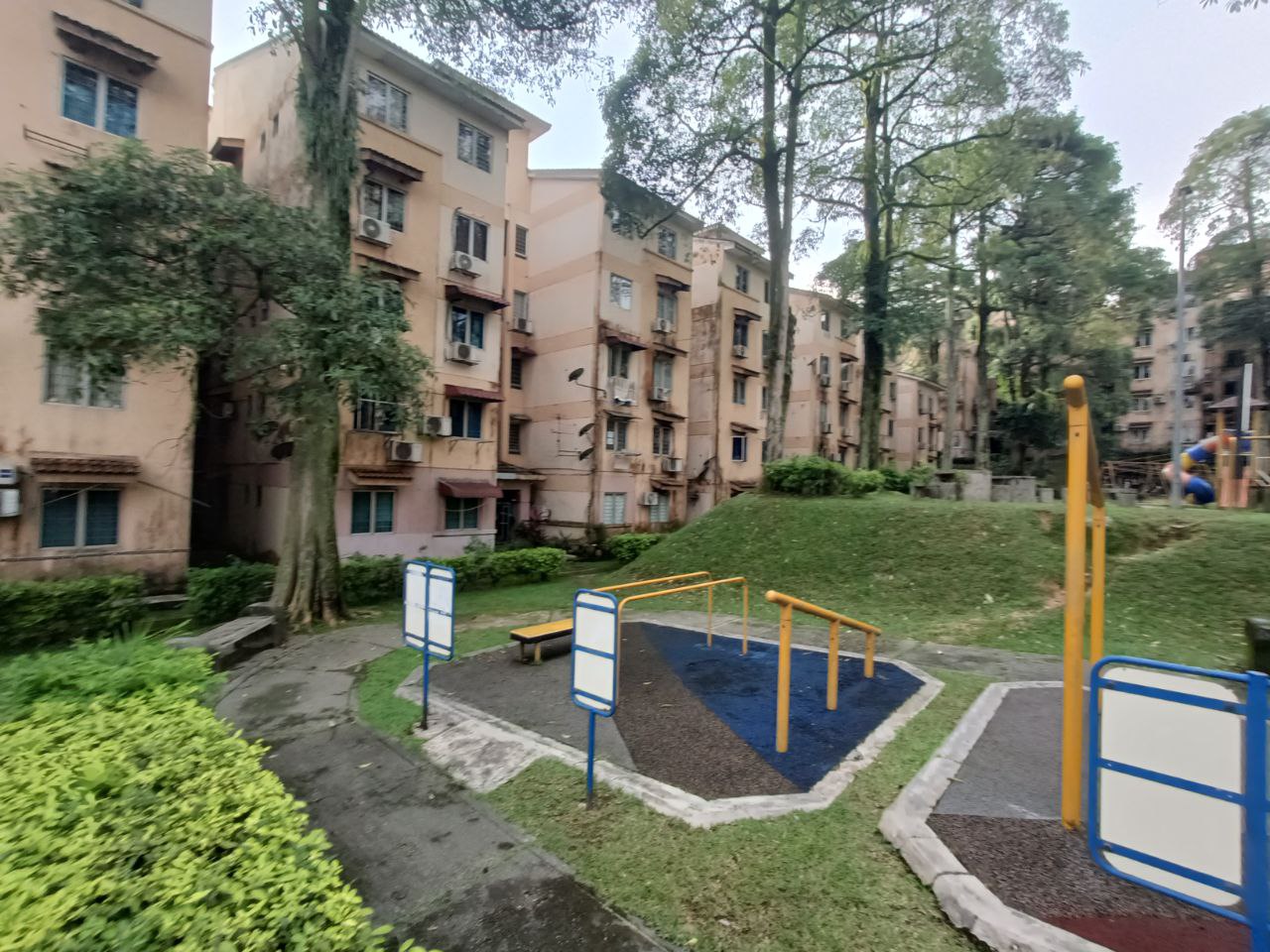 Photo 2025 11 14 11 21 47