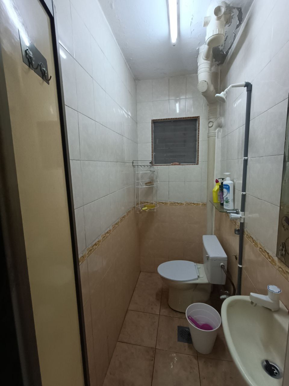 Photo 2025 11 14 11 22 47