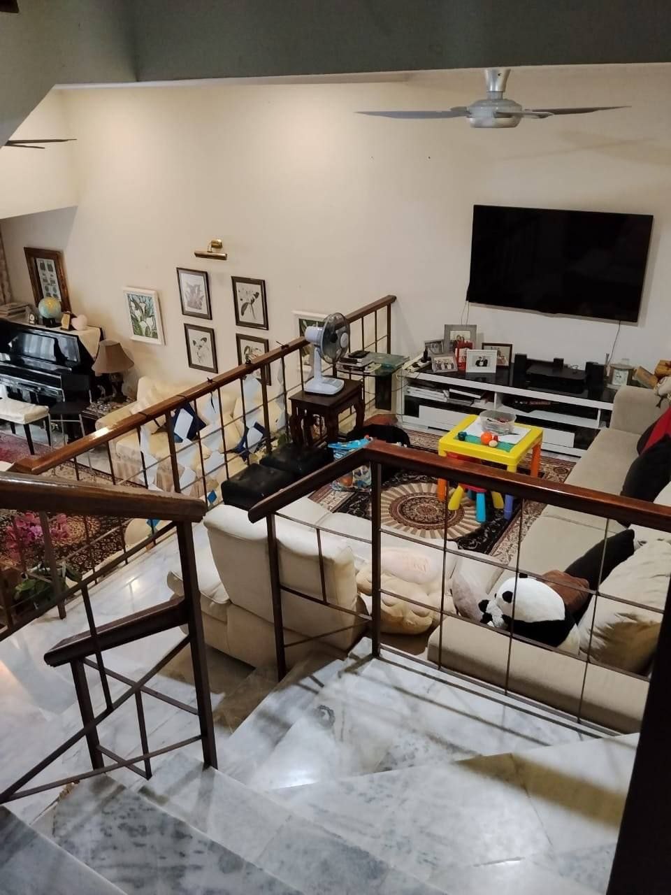 Photo 6231260079596441093 Y