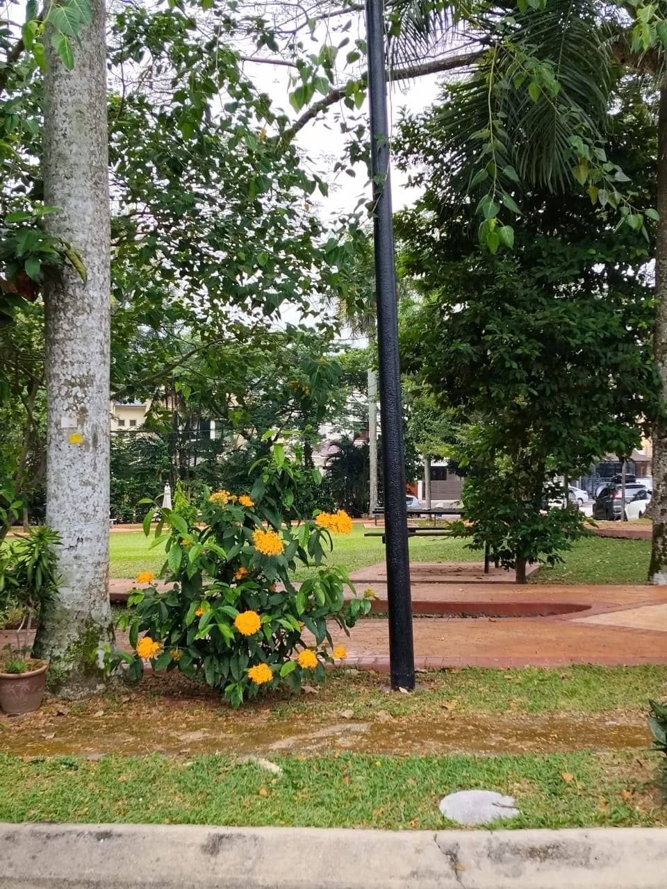 Photo 6231260079596441094 Y