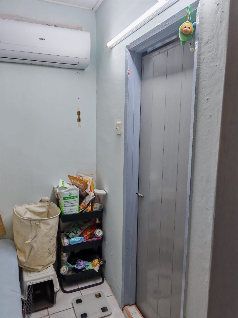 Photo 6246838230921710903 Y