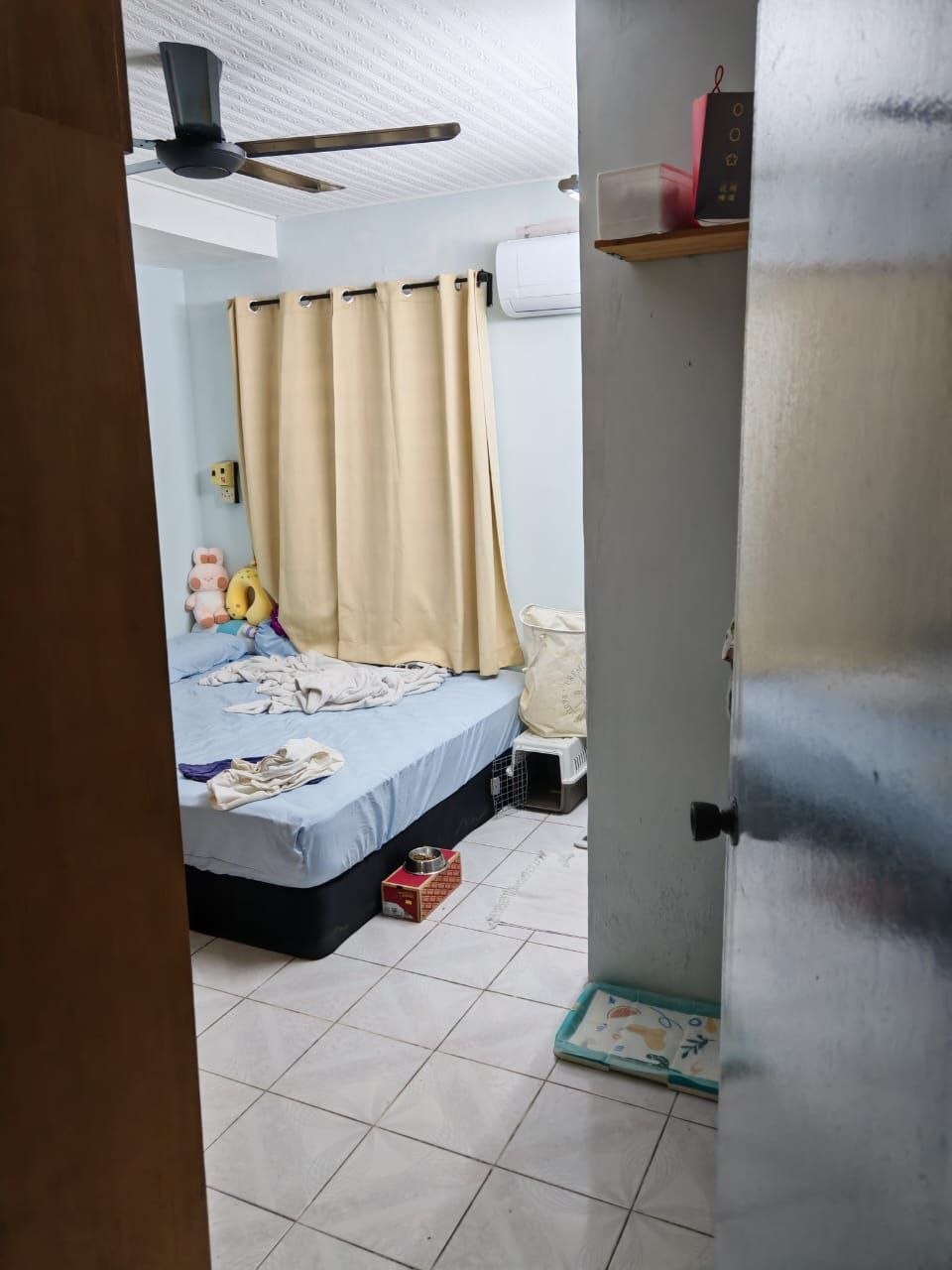 Photo 6246838230921710904 Y