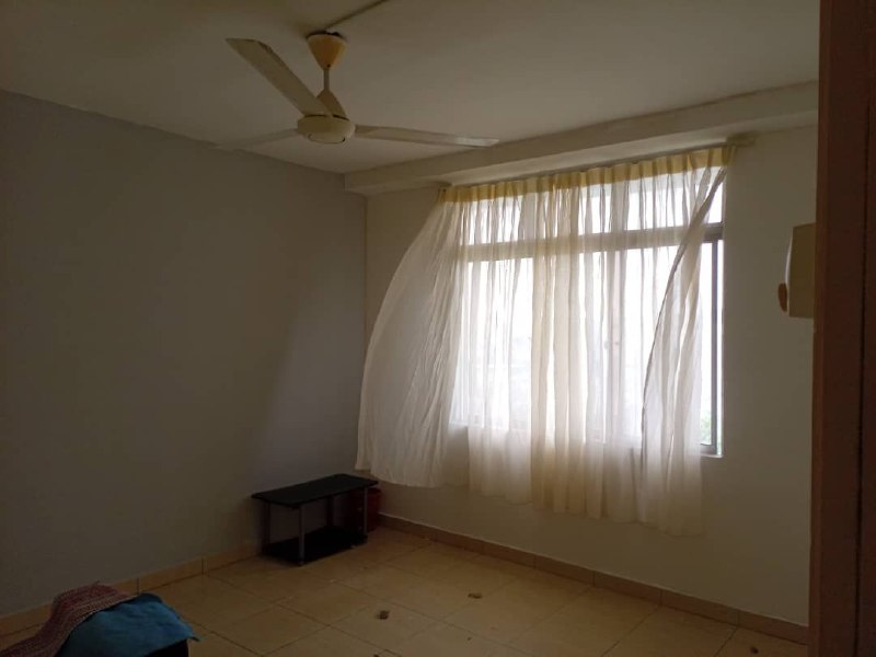 Photo 6249090030735396495 X