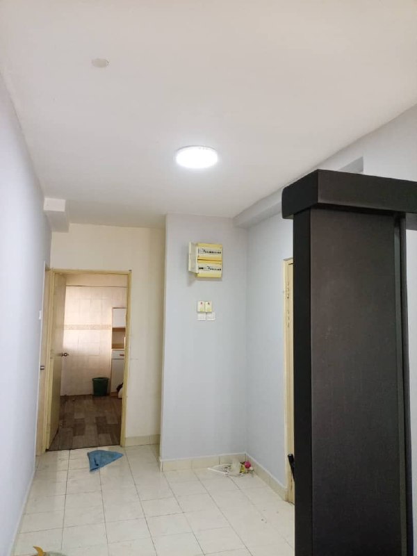 Photo 6249090030735396496 X