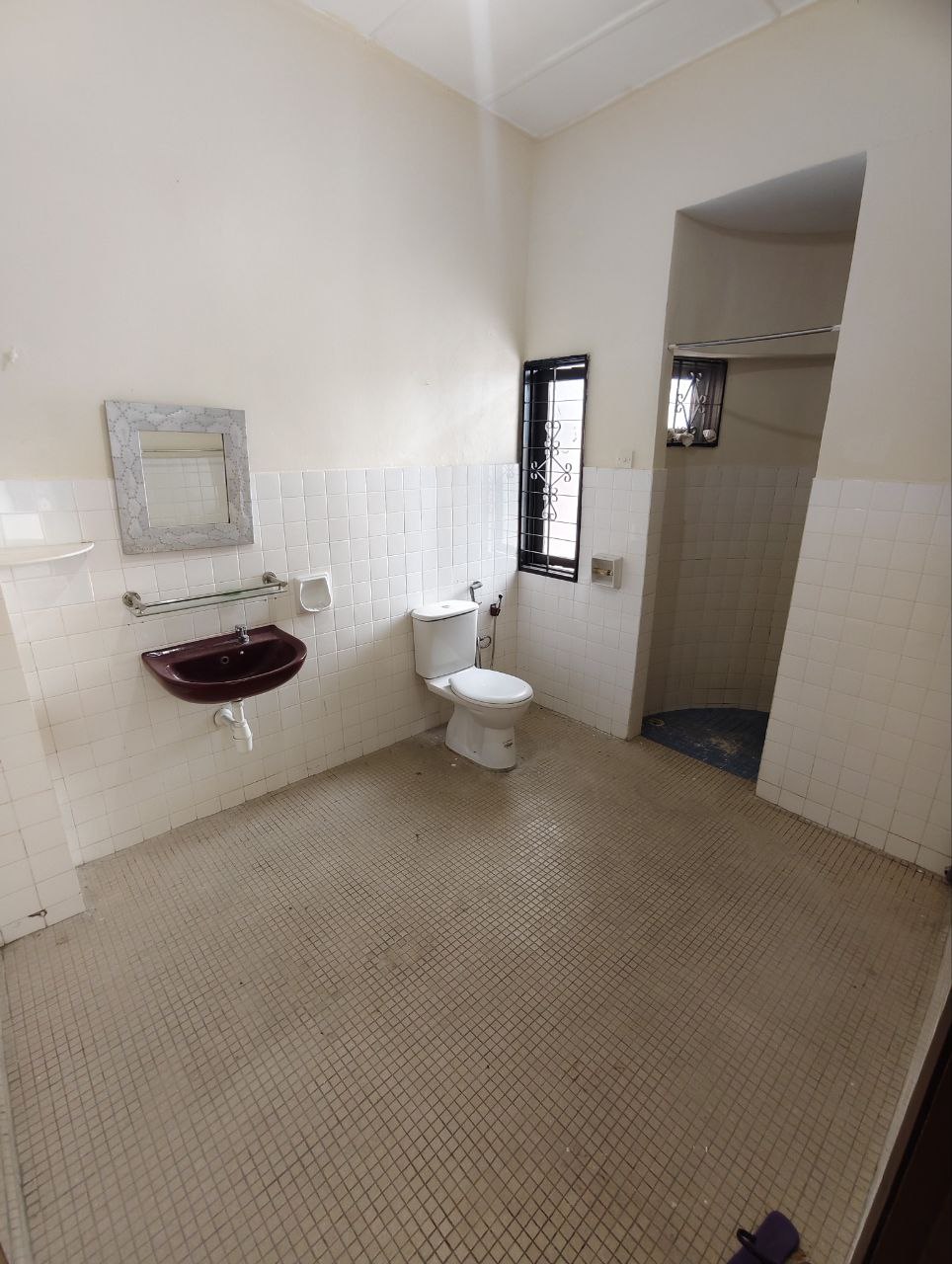 Photo 6253341133526648577 Y