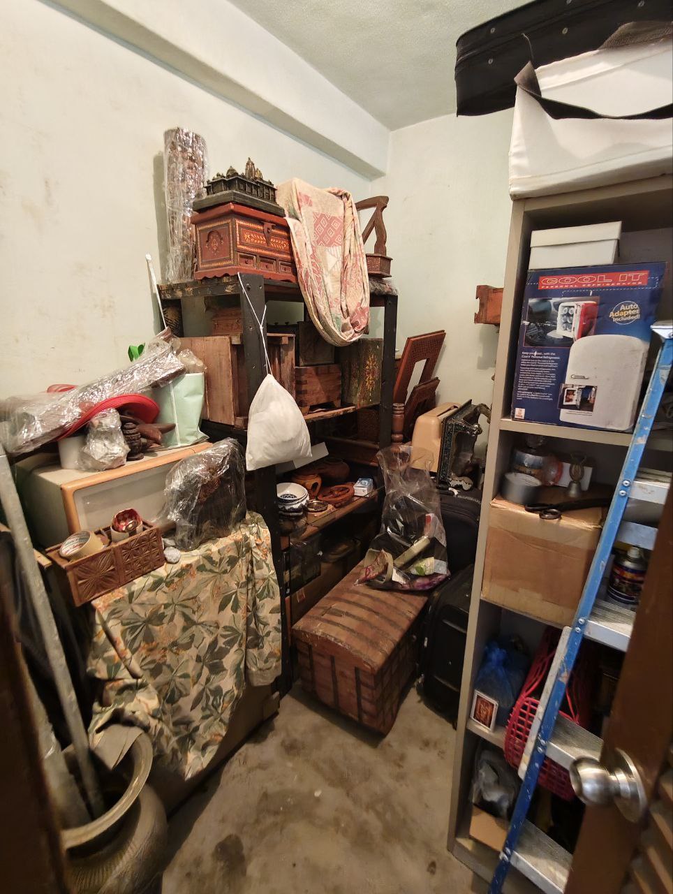 Photo 6253341133526648578 Y