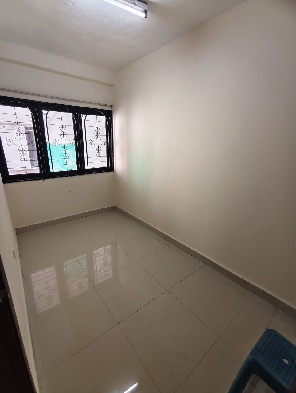 Photo 6253341133526648683 Y