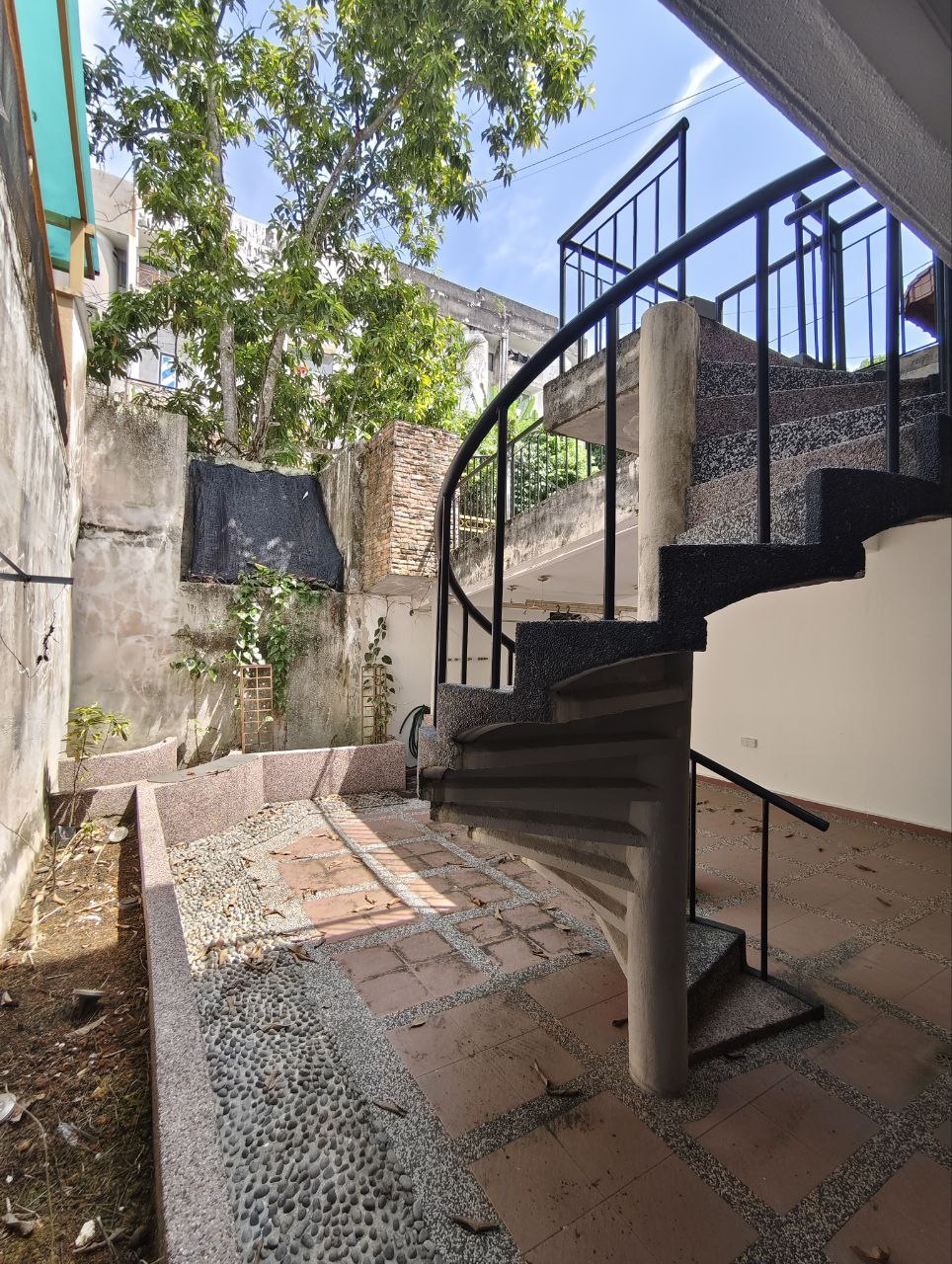 Photo 6253341133526648691 Y