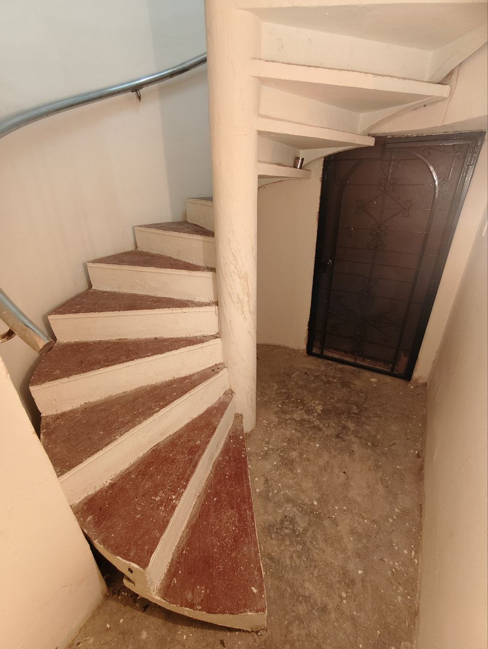 Photo 6253341133526648698 Y