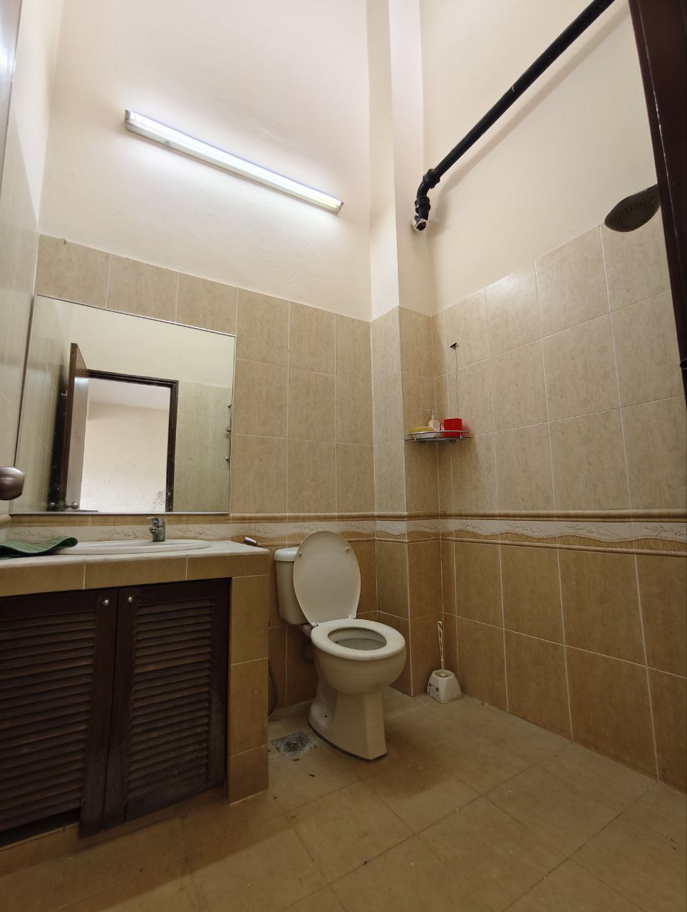 Photo 6253341133526648708 Y